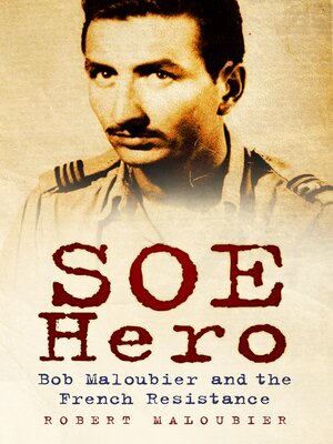 cover image of SOE Hero